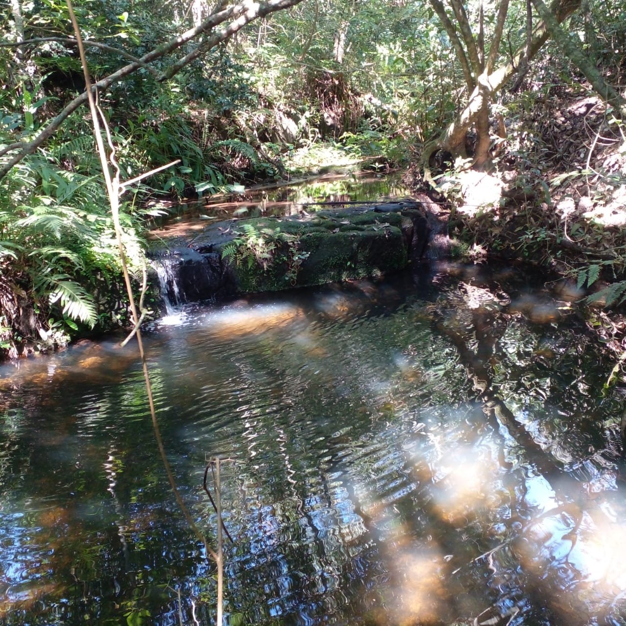 Arroyo natural dentro del terreno